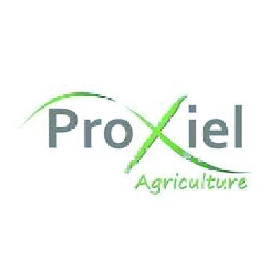 mla_proxiel