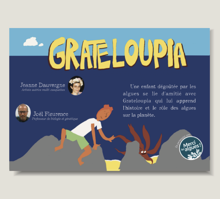 grateloupia