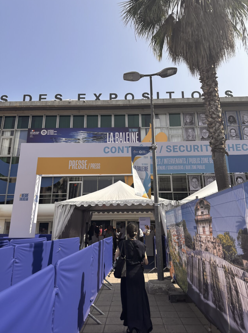 Merci les Algues s’invite à l’UNOC 2025 à Nice !