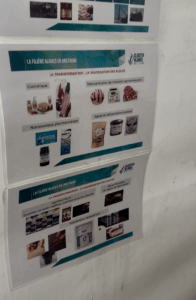 Course Atlantique Le Telegramme E leclerc
