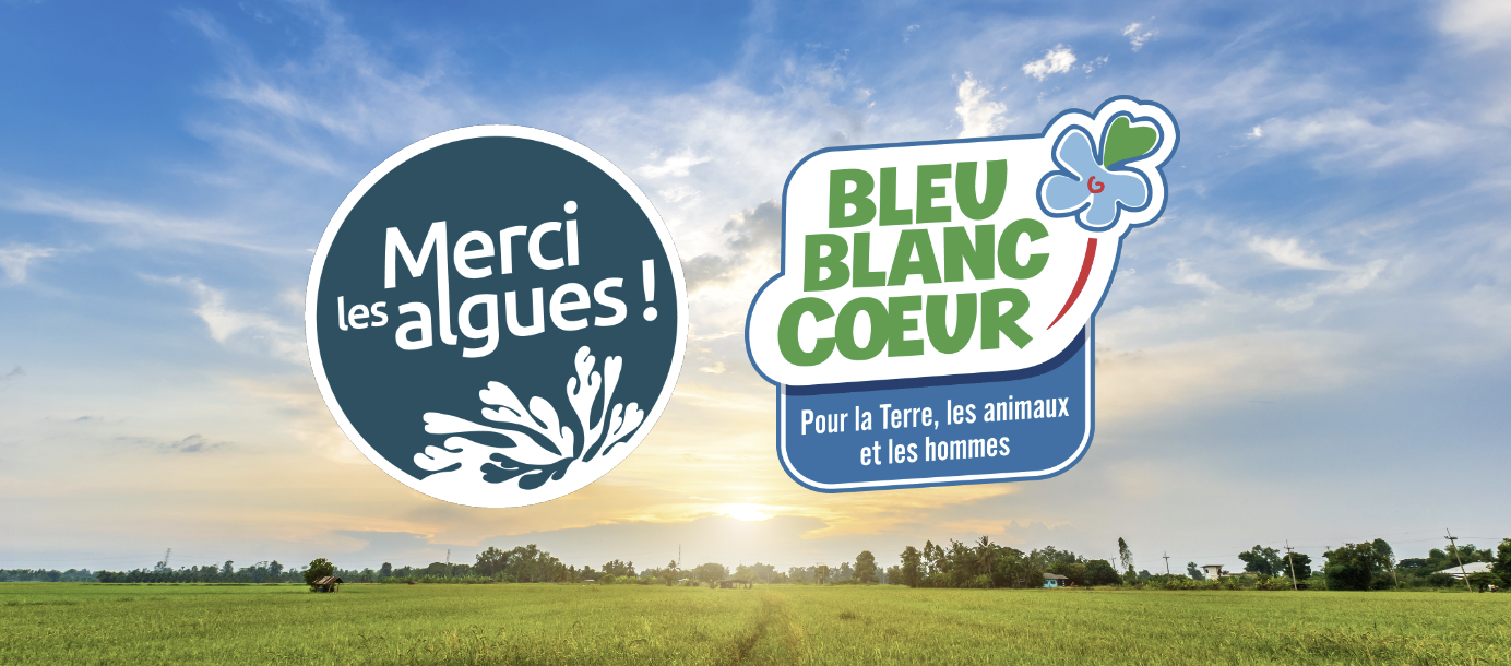 Merci Les Algues ! et Bleu-Blanc-Cœur s’unissent pour une agriculture plus durable