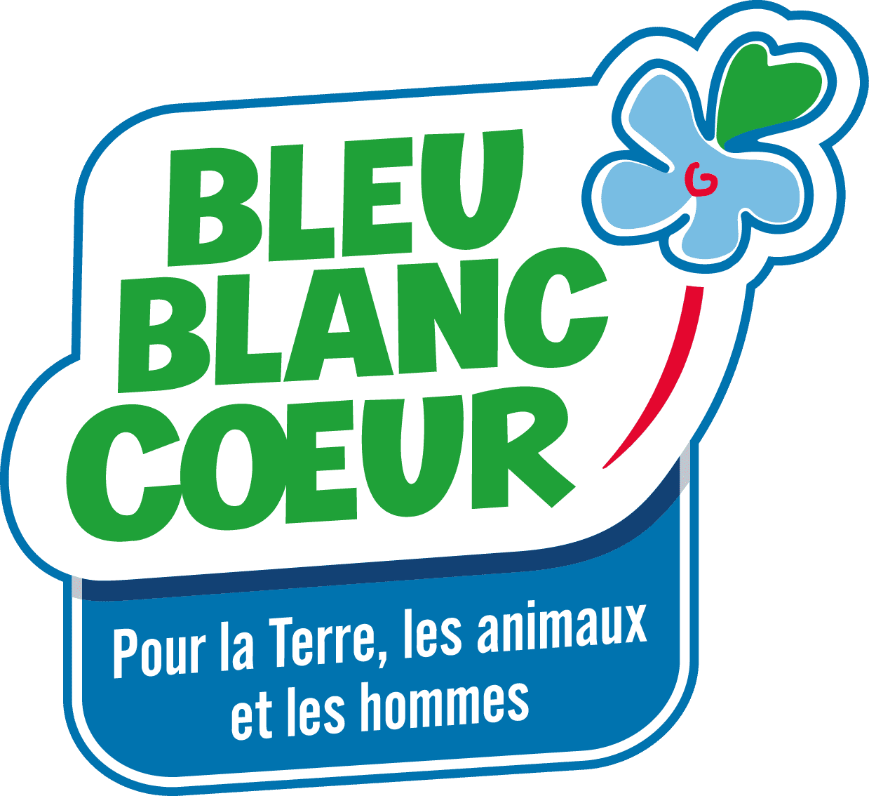 bbc_corporate_logo_fr_fillet_rgb (1)